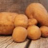 OG Yukon Gold Pre-Nuclear Potato